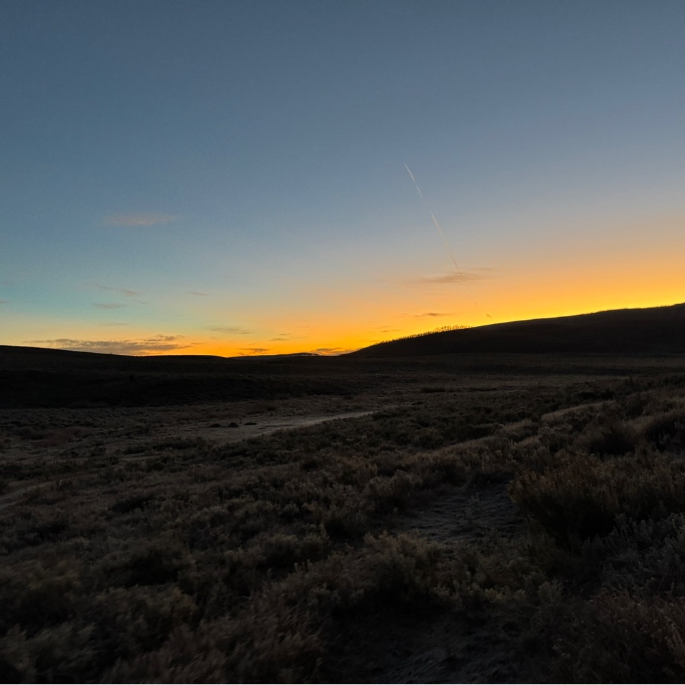 Meet your Posher, Looney